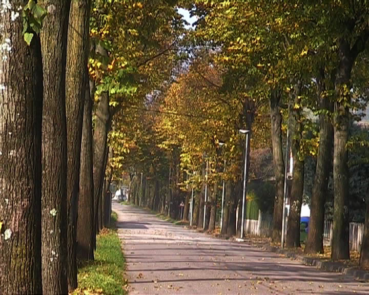 Giornata di settembre