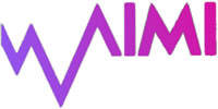 Verso un sistema informatico per l'educazione musicale (XVICIM)