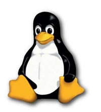 Linux penguin