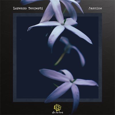 Cover art of Jasmine